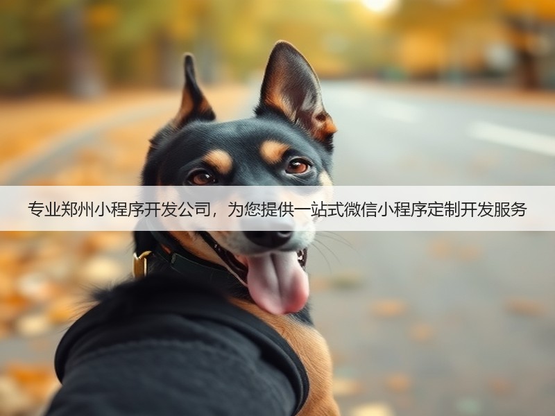 专业郑州小程序开发公司，为您提供一站式微信小程序定制开发服务(图2)