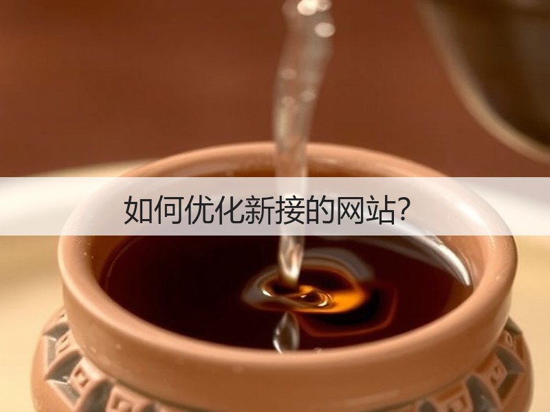 如何优化新接的网站？(图3)
