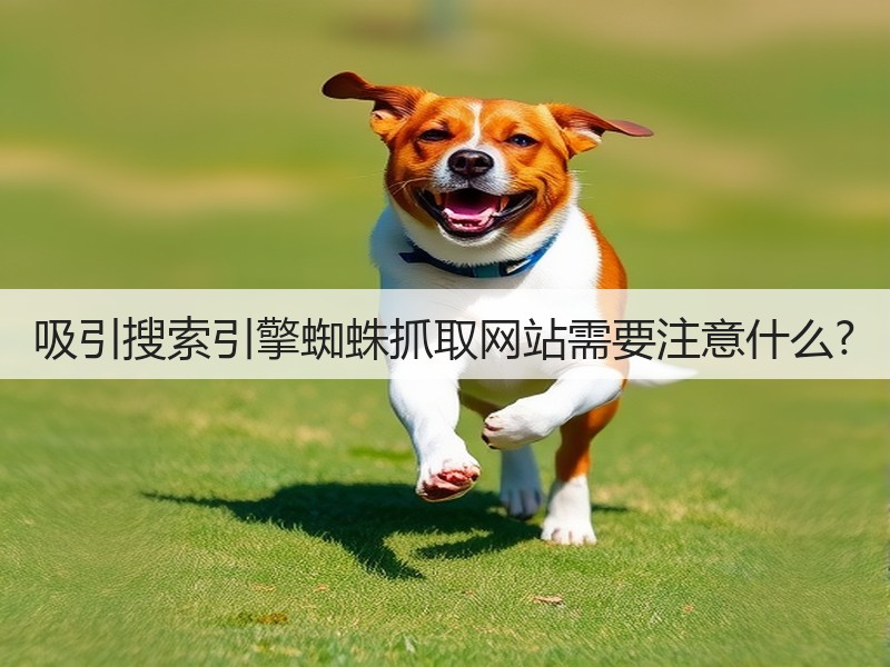 吸引搜索引擎蜘蛛抓取网站需要注意什么?(图3) 吸引搜索引擎蜘蛛抓取网站需要注意什么?(图3)