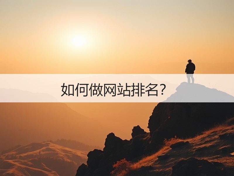 如何做网站排名？