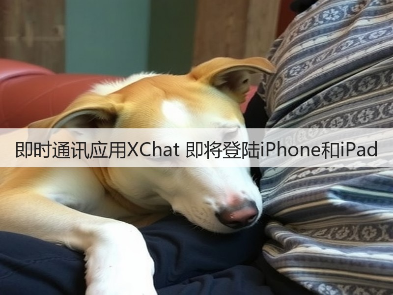 即时通讯应用XChat 即将登陆iPhone和iPad(图3) 即时通讯应用XChat 即将登陆iPhone和iPad(图3)