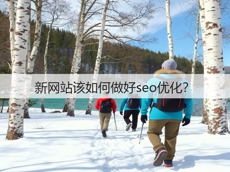 新网站该如何做好seo优化？(图1)