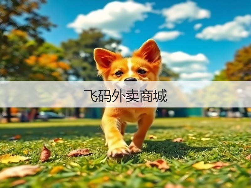 飞码外卖商城(图3)