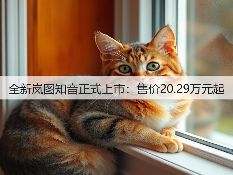 全新岚图知音正式上市：售价20.29万元起(图3)
