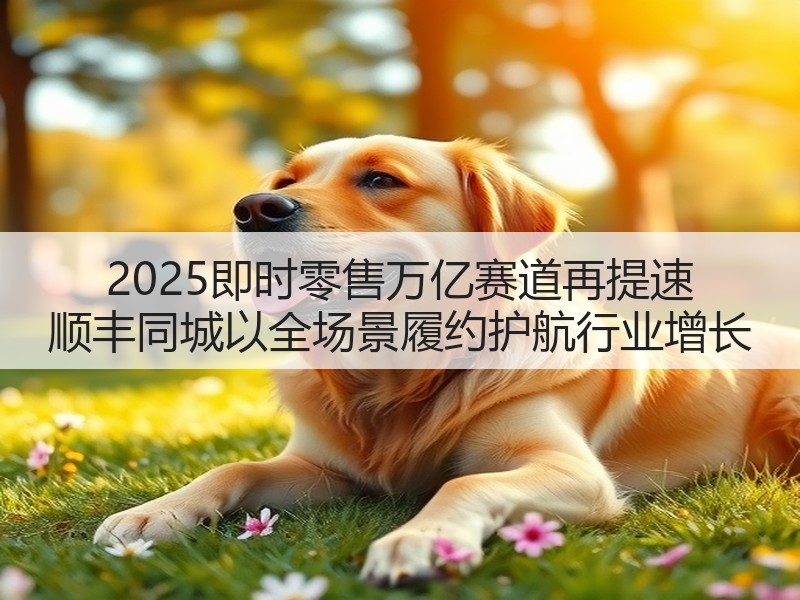 2025即时零售万亿赛道再提速 顺丰同城以全场景履约护航行业增长(图3) 2025即时零售万亿赛道再提速 顺丰同城以全场景履约护航行业增长(图3)