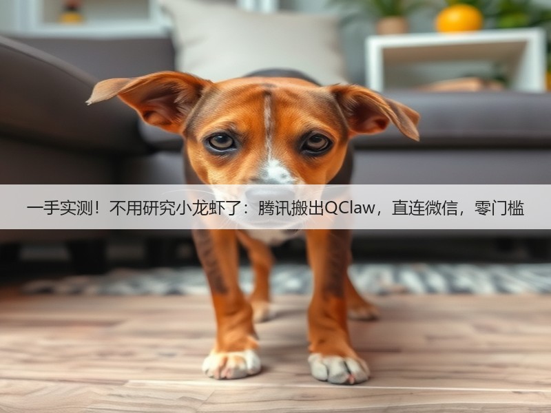 一手实测！不用研究小龙虾了：腾讯搬出QClaw，直连微信，零门槛(图3)