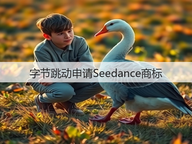 字节跳动申请Seedance商标(图3)