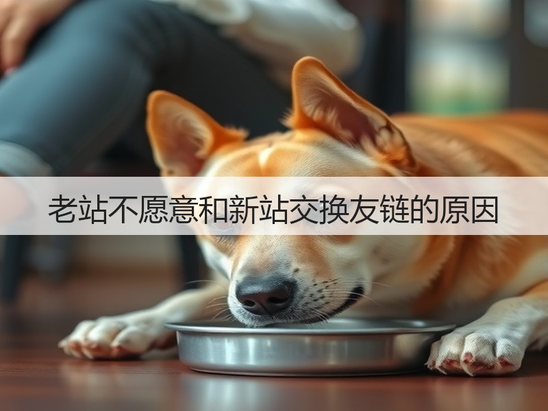 老站不愿意和新站交换友链的原因(图2)