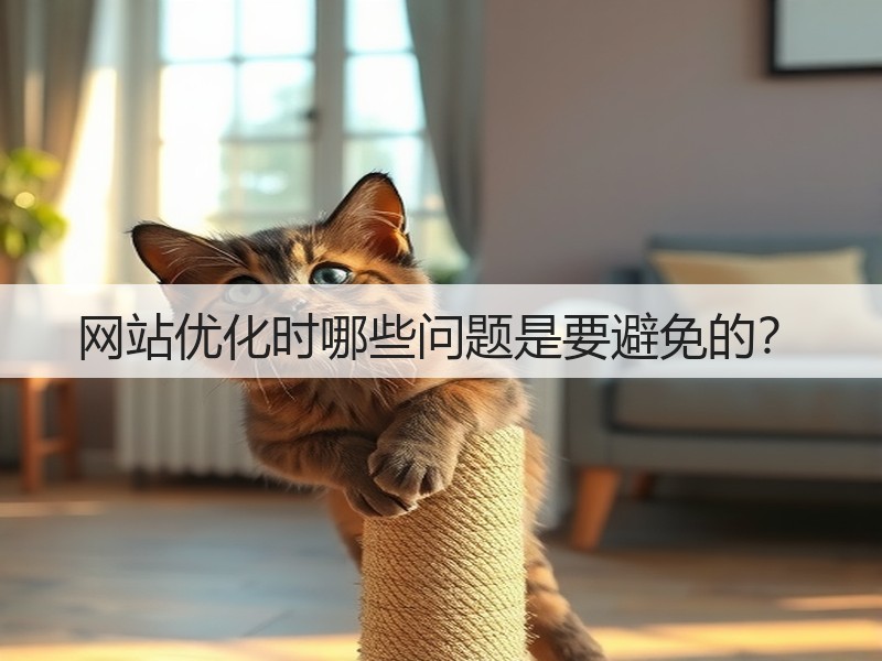 网站优化时哪些问题是要避免的？(图3)
