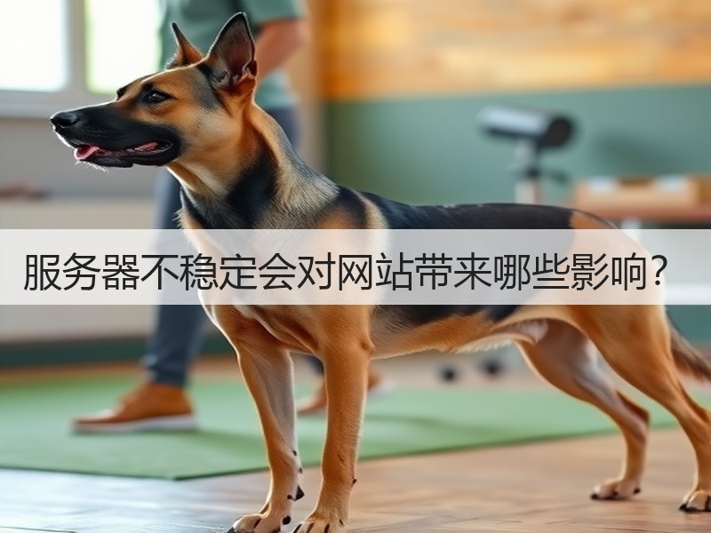 服务器不稳定会对网站带来哪些影响？(图2)