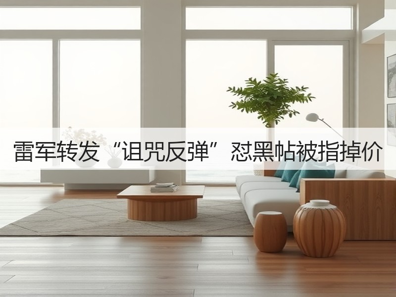 雷军转发“诅咒反弹”怼黑帖被指掉价(图2)