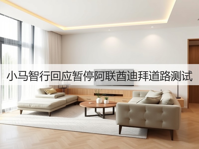 小马智行回应暂停阿联酋迪拜道路测试(图3)