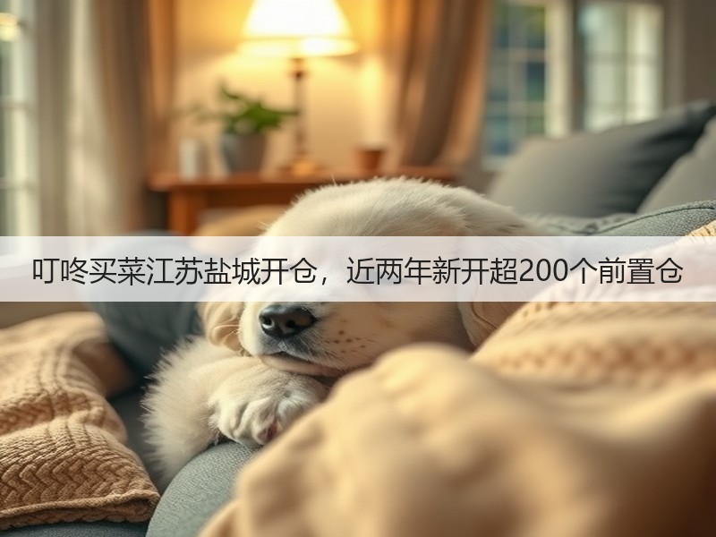 叮咚买菜江苏盐城开仓，近两年新开超200个前置仓(图3)