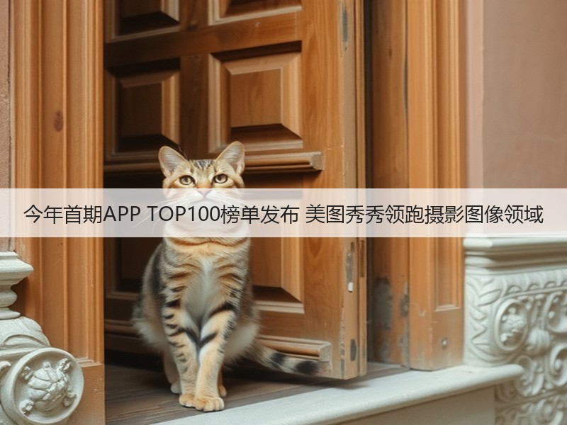 今年首期APP TOP100榜单发布 美图秀秀领跑摄影图像领域(图2)