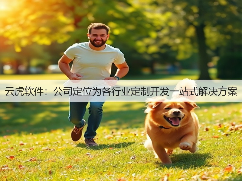 云虎软件：公司定位为各行业定制开发一站式解决方案(图2)
