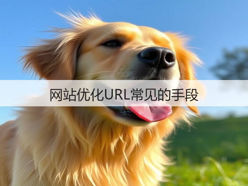 网站优化URL常见的手段(图2)