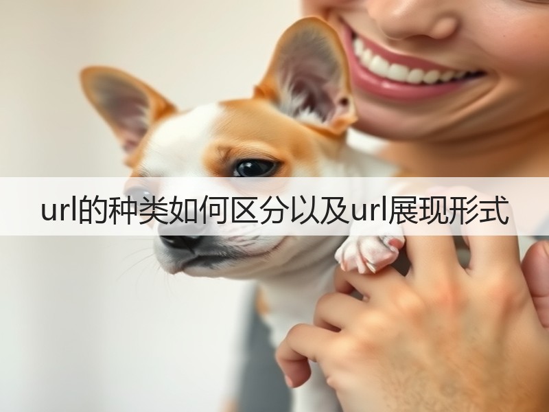 url的种类如何区分以及url展现形式(图2)