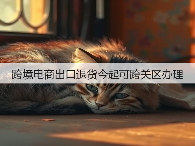 跨境电商出口退货今起可跨关区办理(图3)