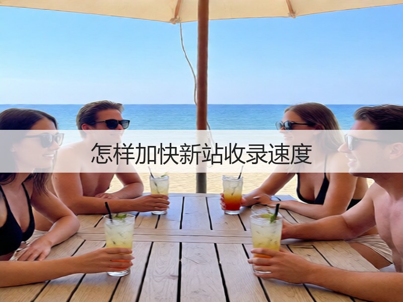 怎样加快新站收录速度(图3) 怎样加快新站收录速度(图3)