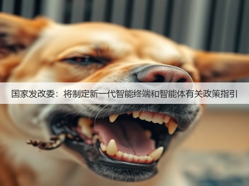 国家发改委：将制定新一代智能终端和智能体有关政策指引(图3)