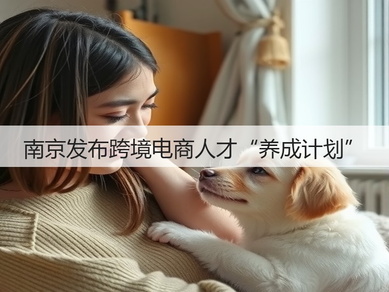 南京发布跨境电商人才“养成计划”(图3)