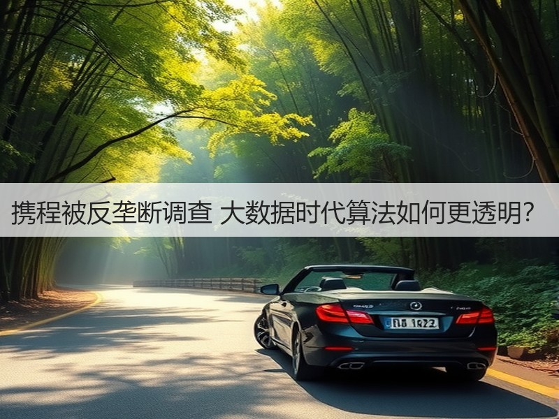 携程被反垄断调查 大数据时代算法如何更透明?(图2) 携程被反垄断调查 大数据时代算法如何更透明?(图2)