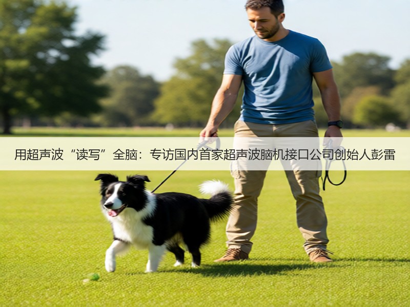 用超声波“读写”全脑:专访国内首家超声波脑机接口公司创始人彭雷(图3) 用超声波“读写”全脑:专访国内首家超声波脑机接口公司创始人彭雷(图3)