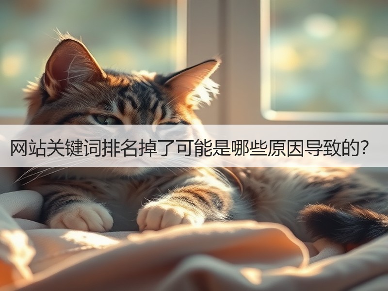 网站关键词排名掉了可能是哪些原因导致的？