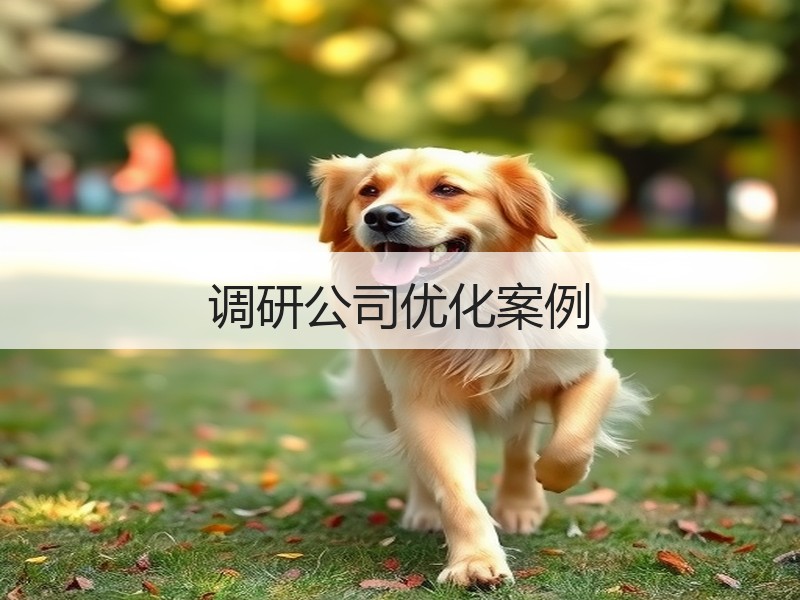 调研公司优化案例