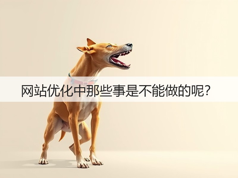 网站优化中那些事是不能做的呢？(图3)