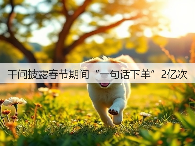 千问披露春节期间“一句话下单”2亿次(图3)