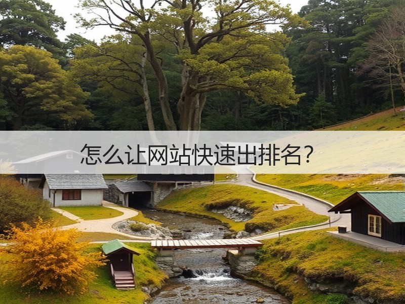 怎么让网站快速出排名?(图2) 怎么让网站快速出排名?(图2)