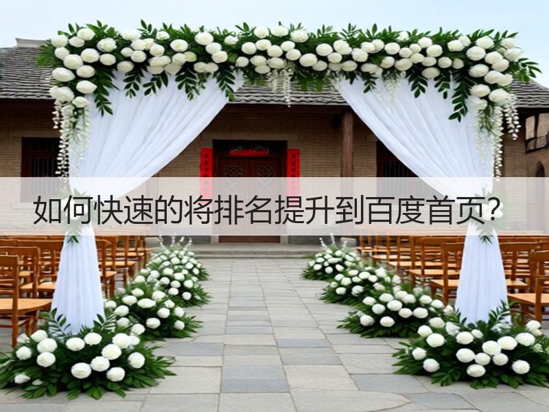 如何快速的将排名提升到百度首页？(图2)