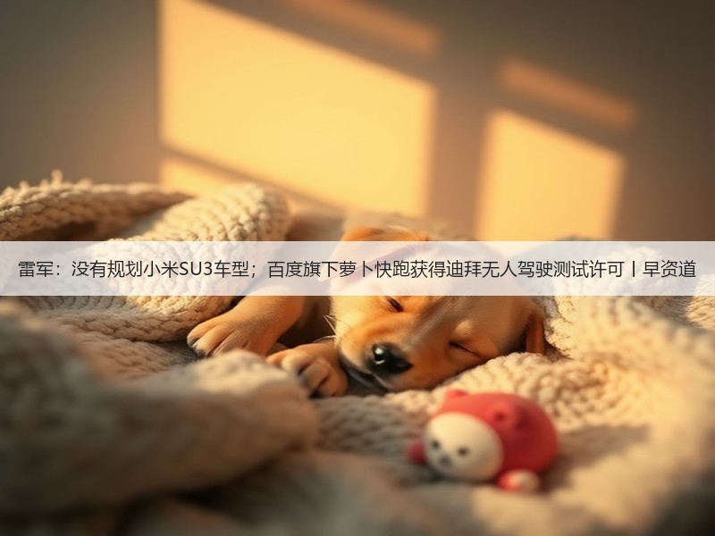 雷军：没有规划小米SU3车型；百度旗下萝卜快跑获得迪拜无人驾驶测试许可丨早资道(图3)