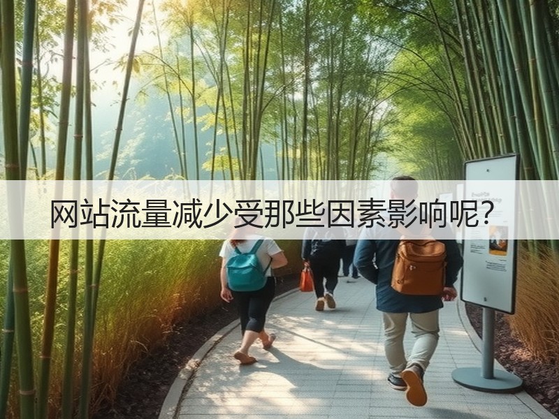 网站流量减少受那些因素影响呢？(图2)