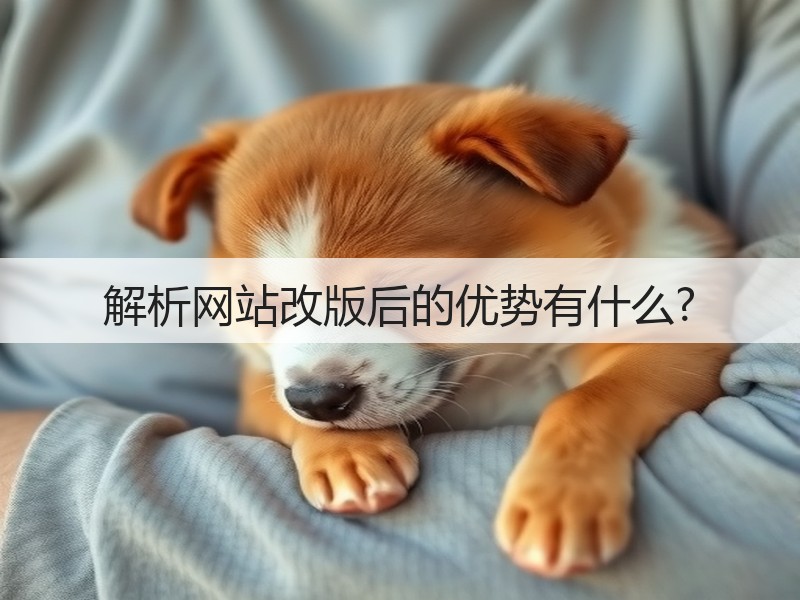 解析网站改版后的优势有什么?(图2)