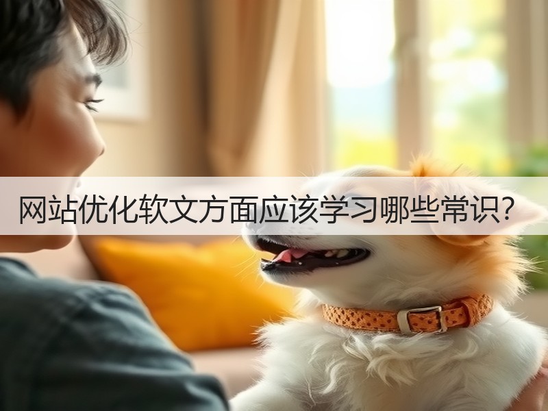网站优化软文方面应该学习哪些常识？(图2)