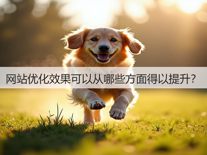 网站优化效果可以从哪些方面得以提升？(图3)