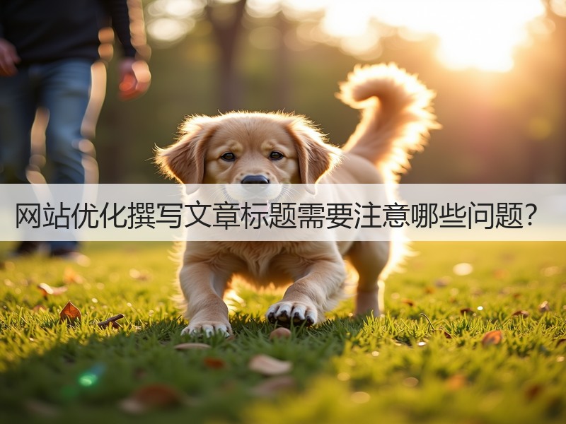 网站优化撰写文章标题需要注意哪些问题？(图3)