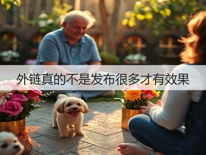 外链真的不是发布很多才有效果