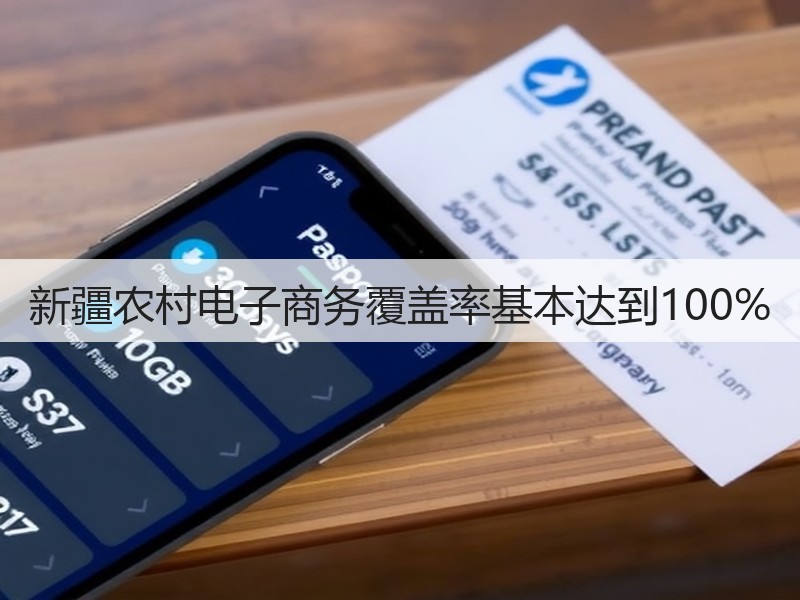 新疆农村电子商务覆盖率基本达到100%(图3)