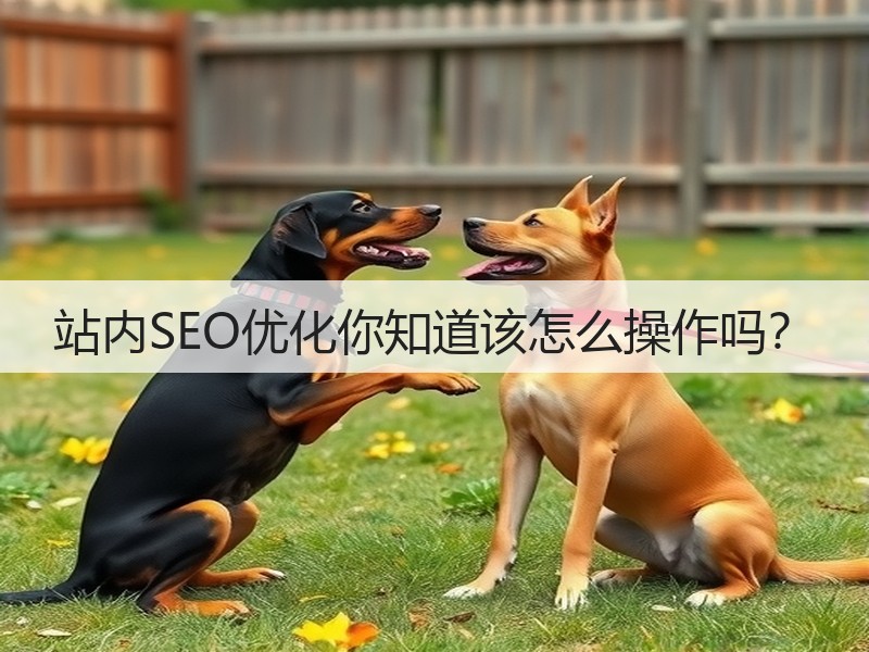 站内SEO优化你知道该怎么操作吗？(图3)