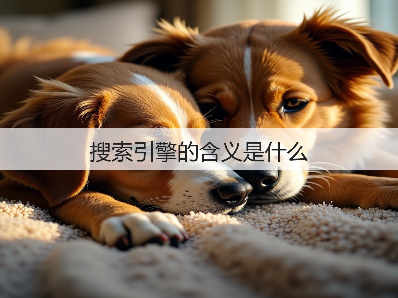 搜索引擎的含义是什么(图2) 搜索引擎的含义是什么(图2)