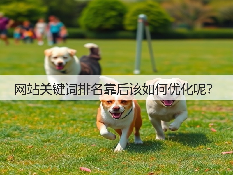 网站关键词排名靠后该如何优化呢？(图2)