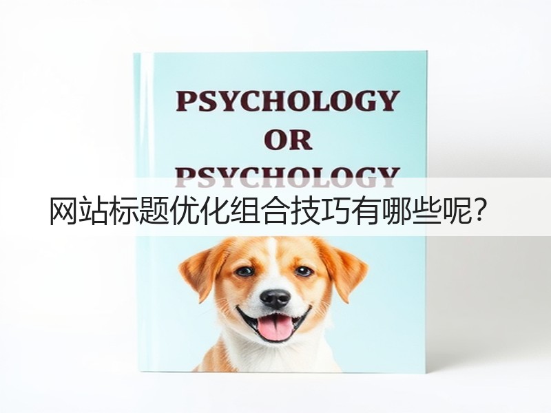 网站标题优化组合技巧有哪些呢？(图3)