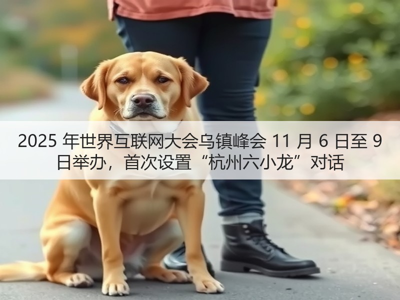 2025 年世界互联网大会乌镇峰会 11 月 6 日至 9 日举办，首次设置“杭州六小龙”对话(图3)