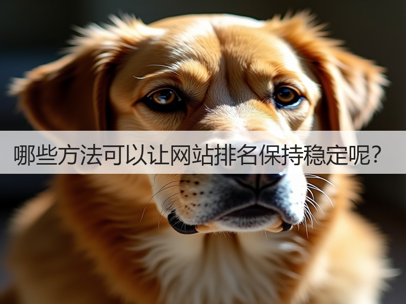 哪些方法可以让网站排名保持稳定呢？(图2)