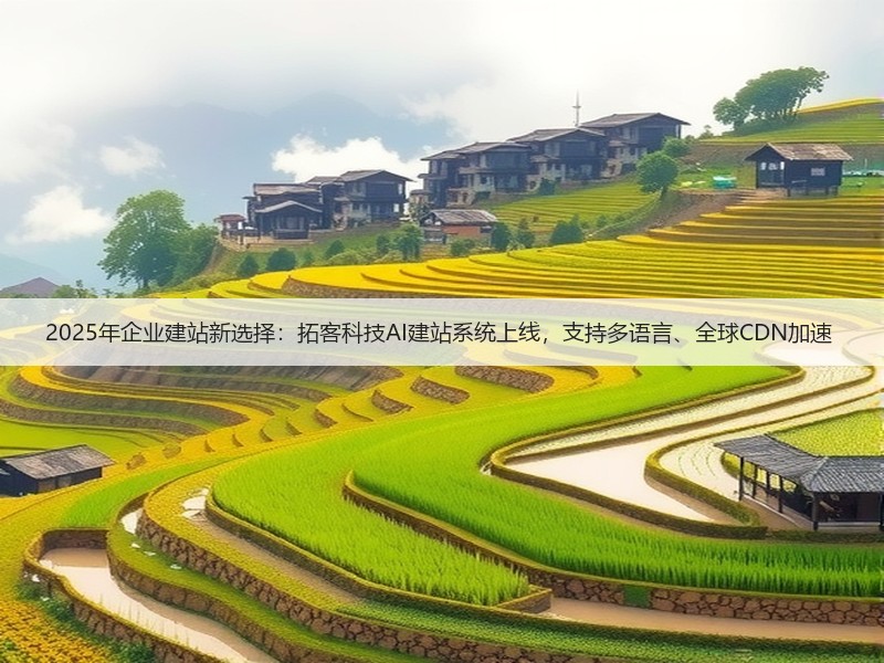 2025年企业建站新选择：拓客科技AI建站系统上线，支持多语言、全球CDN加速 (图2)