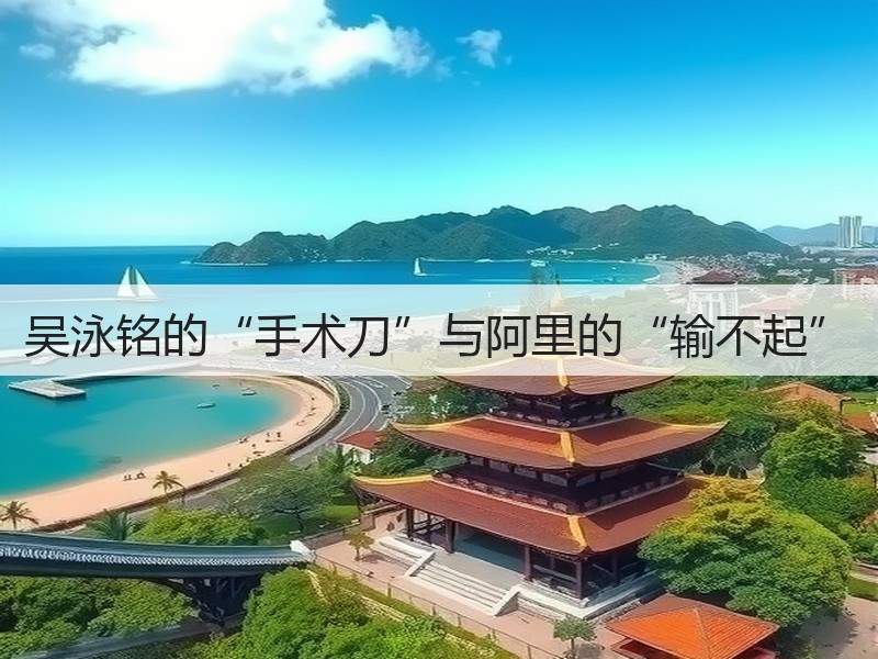 吴泳铭的“手术刀”与阿里的“输不起”(图2)