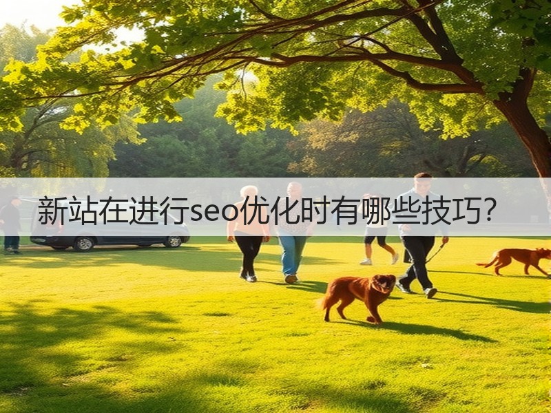 新站在进行seo优化时有哪些技巧？(图3)